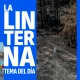 Cover Tema del Día reforestación