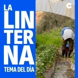 ¿Cómo podría afectar el temporal a la cesta de la compra?